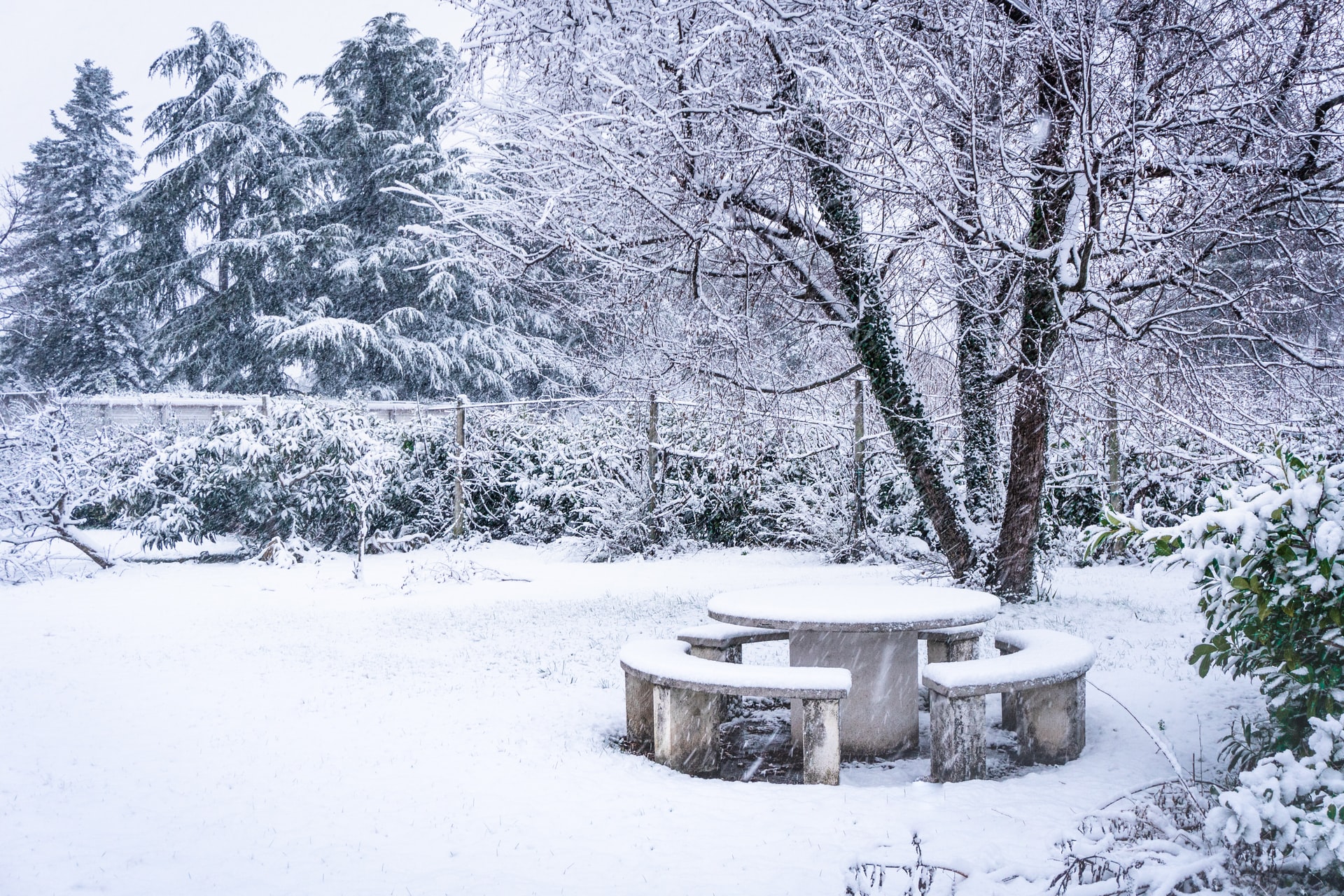 Garten im Winter